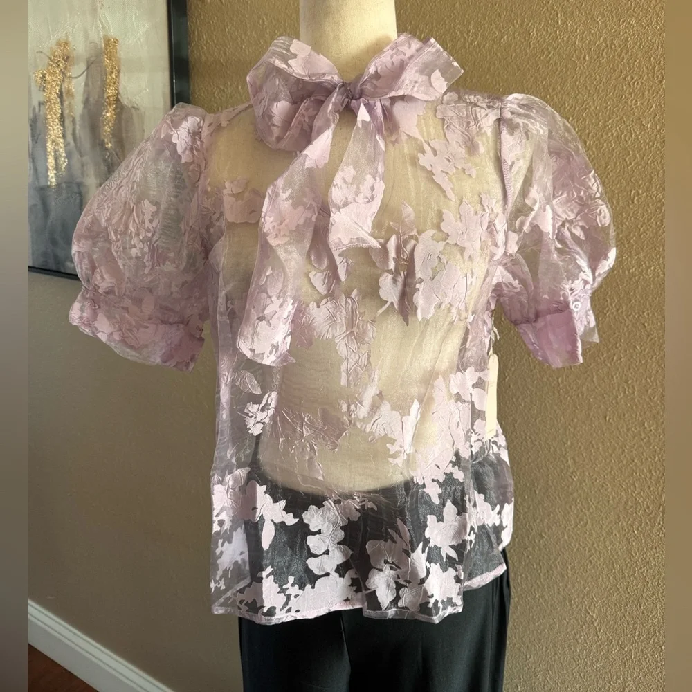 Gorgeous lilac organza sheer top